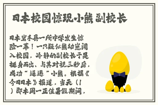 欧美高清不卡